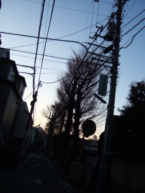 08122801.jpg