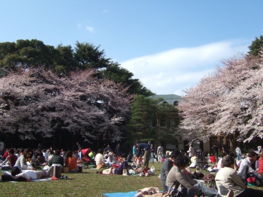09040402.jpg