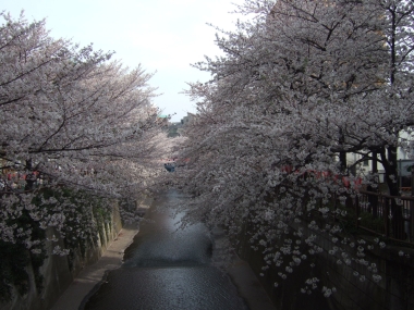 09040503.jpg