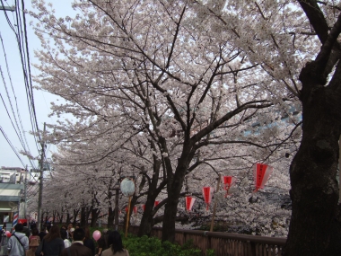 09040504.jpg