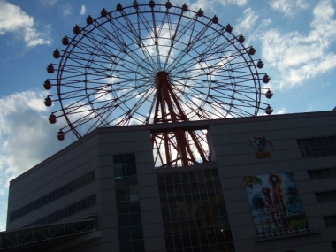 09061907.jpg