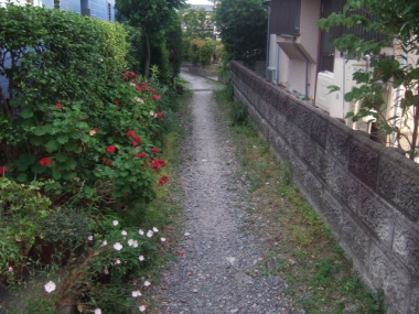09062010.jpg