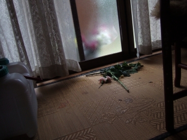 10021302.jpg