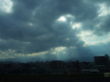 10021304.jpg