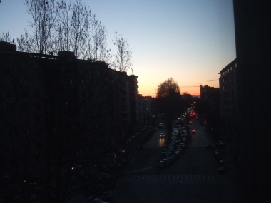 10030504.jpg