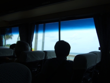 10041201.jpg