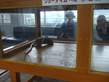 10041402.jpg