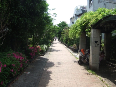 10050503.jpg