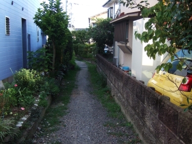 10081401.jpg