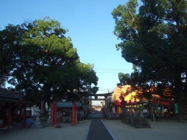 10081601.jpg