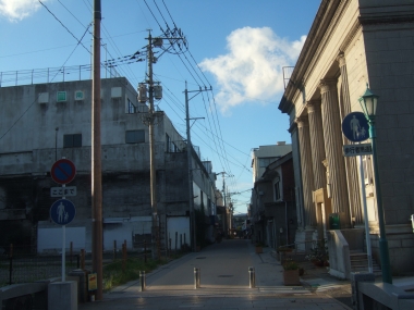 10081603.jpg