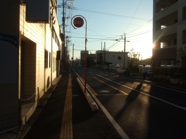 10081604.jpg
