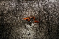 shiota_trans_figurative01.jpg